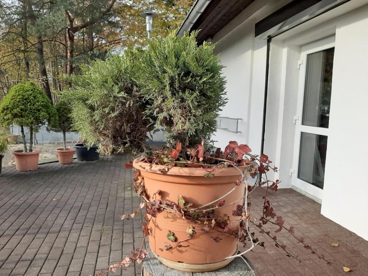 Landlust! Hotel Hoyerswerda Buitenkant foto